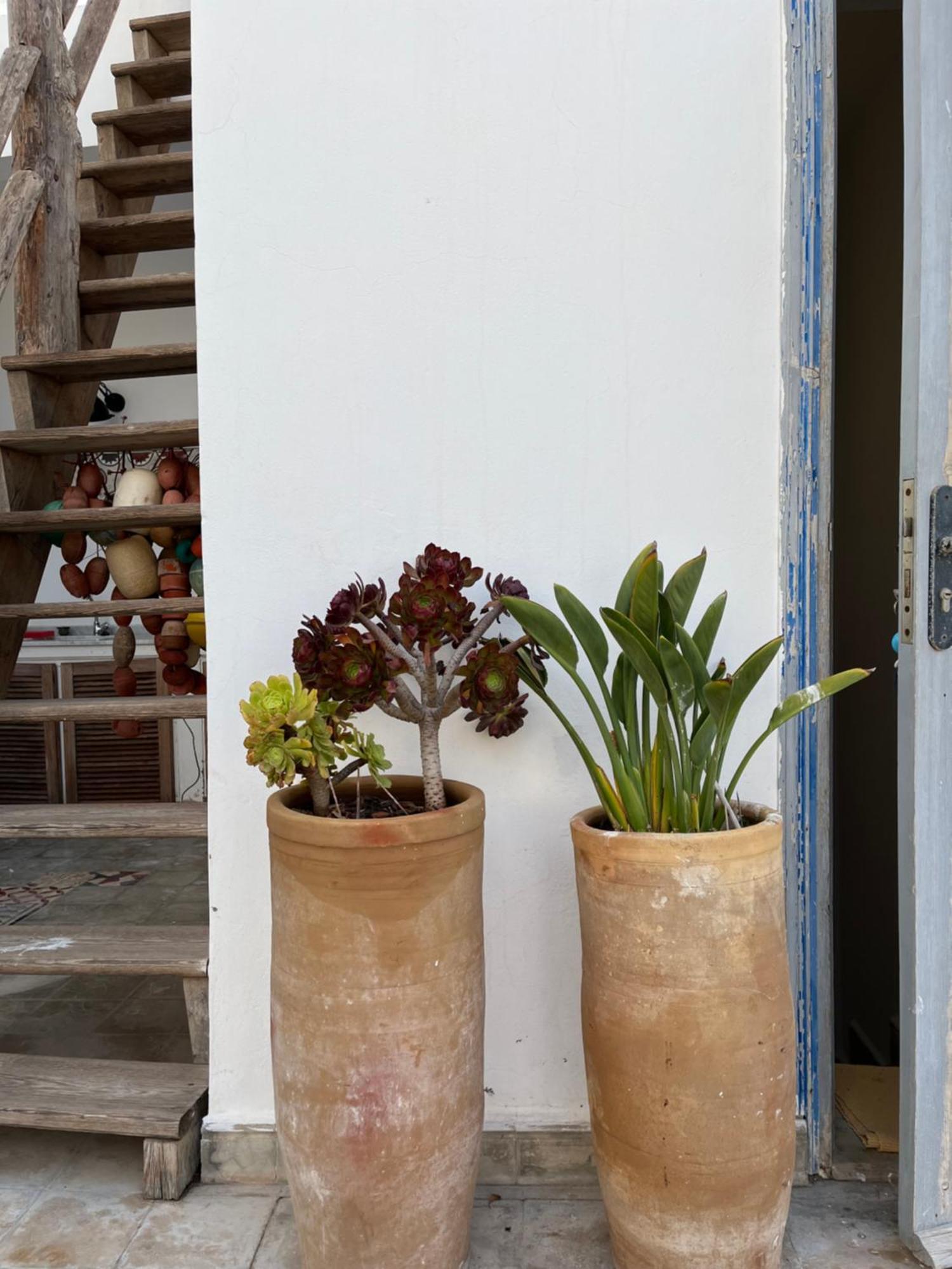 Dar Maha Medina Essaouira Exterior foto